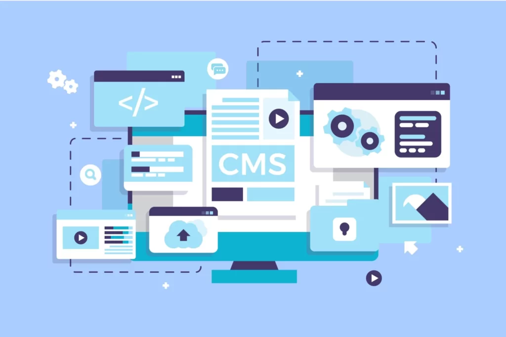 custom CMS development